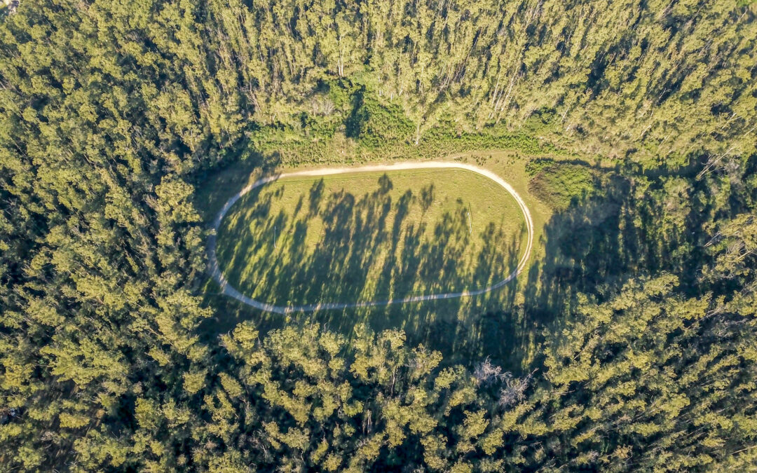 Partenariat ONF/commune : l’aménagement de la forêt d’eucalyptus acté