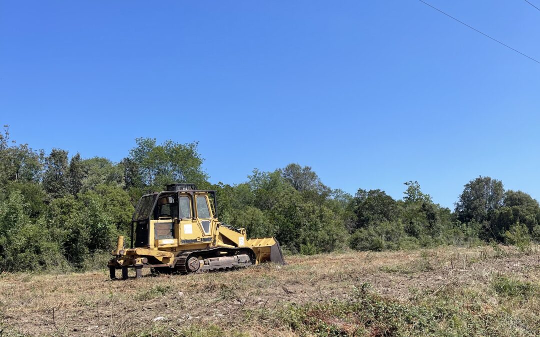 Prévention Incendie : La Zone « d’appui à la lutte » (ZAL) entretenue sur Ornasu et Acqua Acitosa