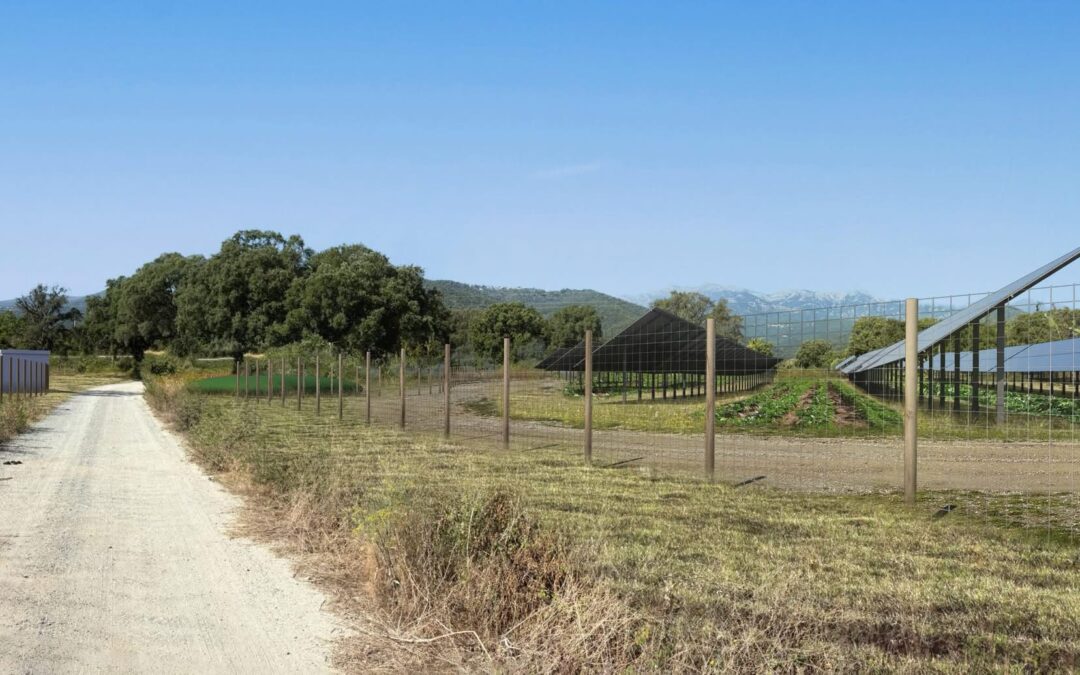 Appel à candidature : installation en Maraîchage sur sol vivant dans le cadre du projet innovant d’agrivoltaïsme avec EDF POWER SOLUTIONS sur une parcelle communale.Envoyez vos candidatures avant le 15 décembre 2025